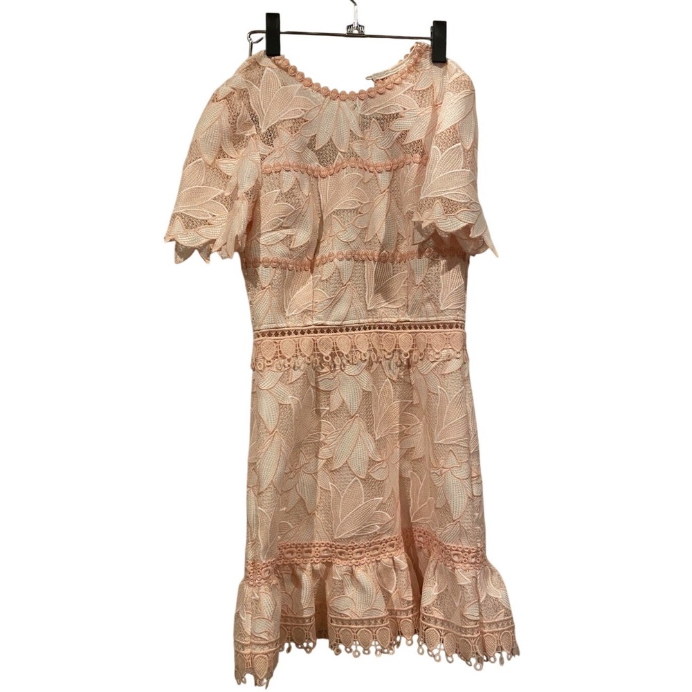 Saylor Pink peach lace Mini Dress Xs boho chic whimsical graduation garden party